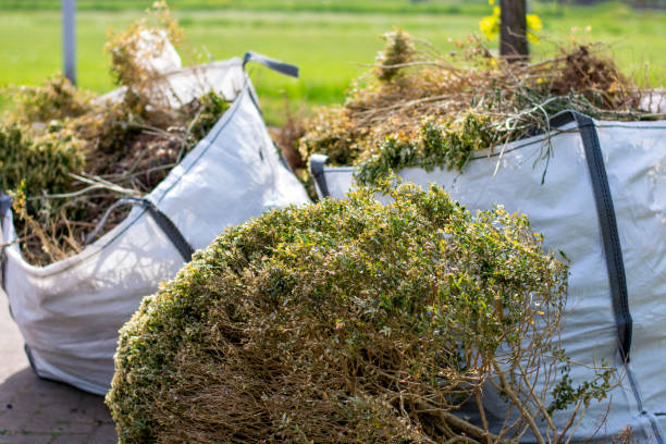 Best Residential Junk Removal  in Dakota City, NE